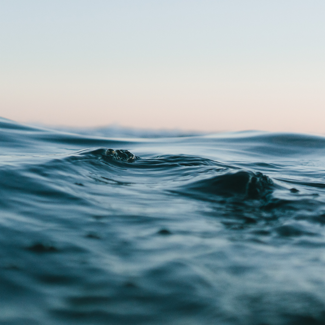 Why marine collagen is so marvellous 