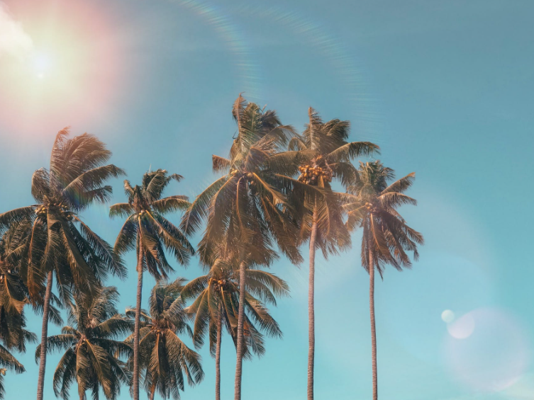 Three reasons why you should be taking collagen supplements this summer