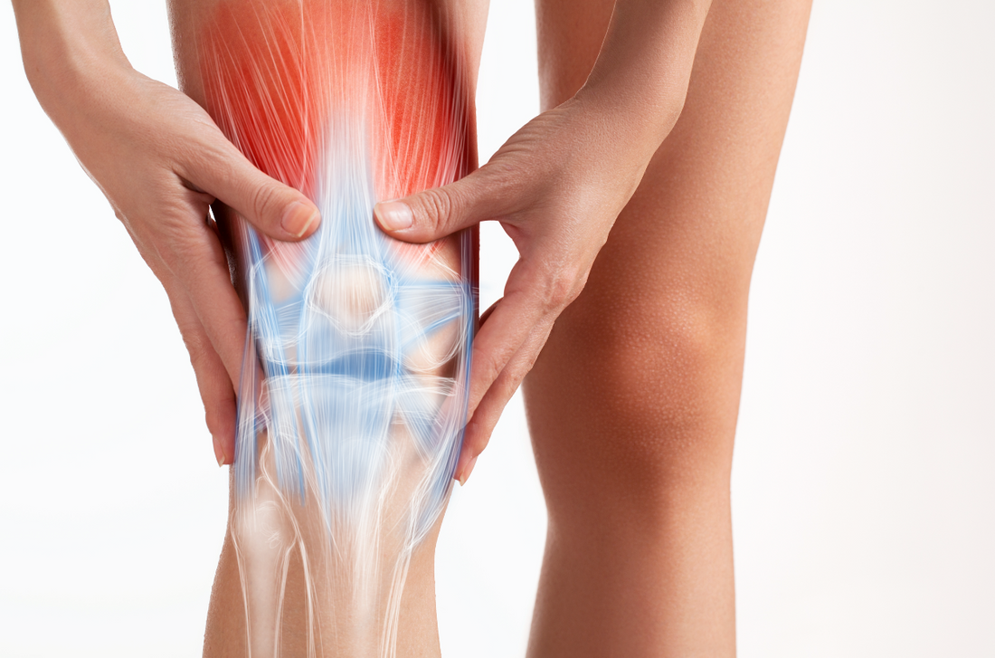 How do collagen and vitamin C repair tendons and ligaments?