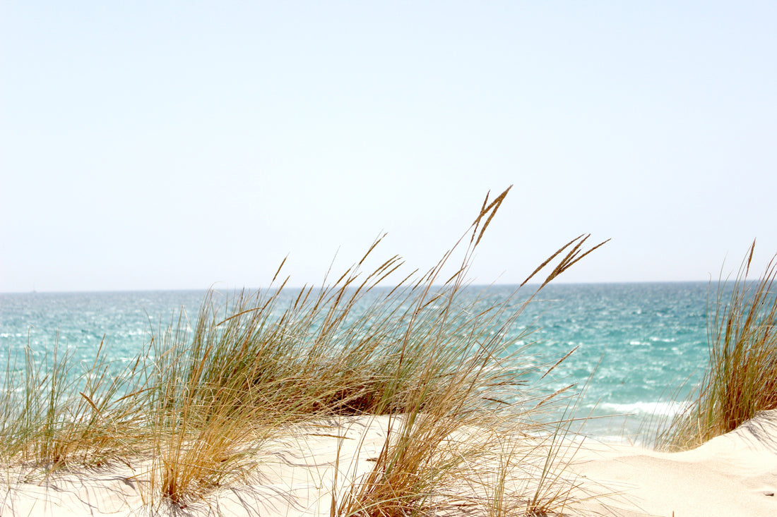 Marine Environment: Are all marine collagen supplements the same?