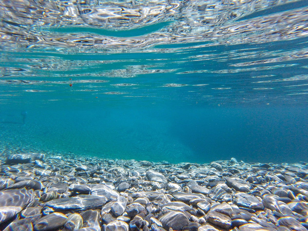 Naticol Marine Collagen: Quality and Sustainability
