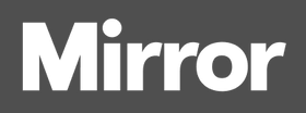 Mirror logo